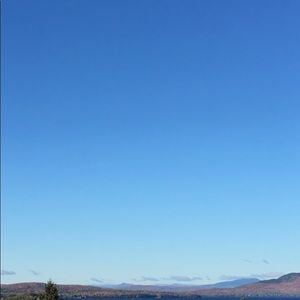 Meet your Posher, Cheyenne